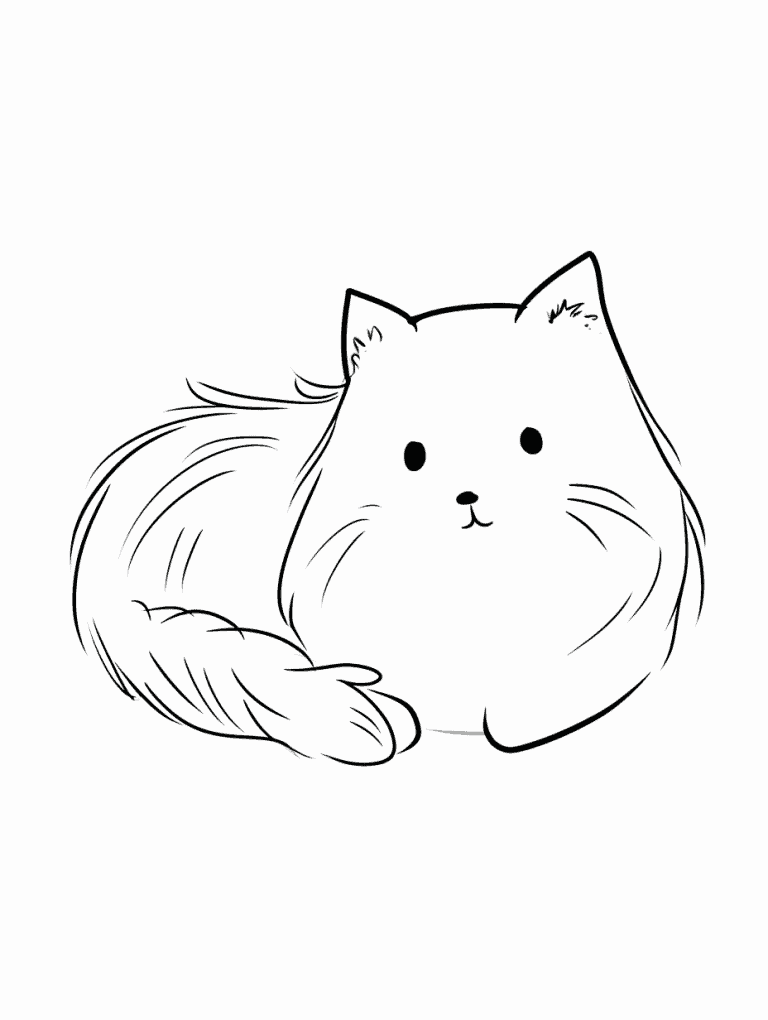 Fluffy Cat