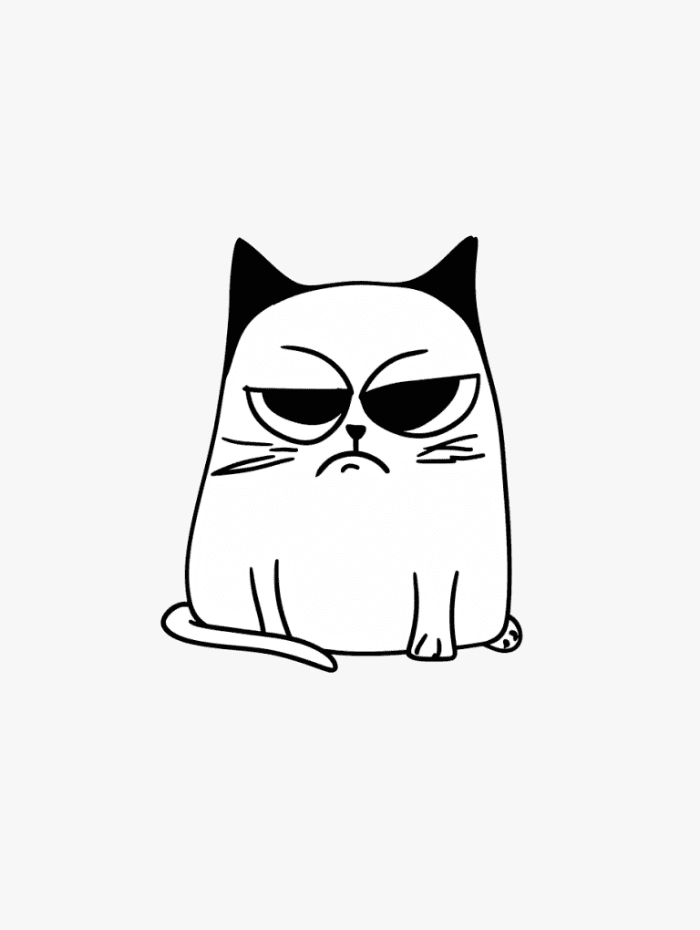 Grumpy Cat
