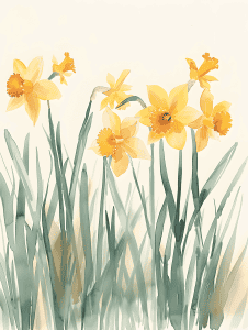 watercolor illustration of daffodils