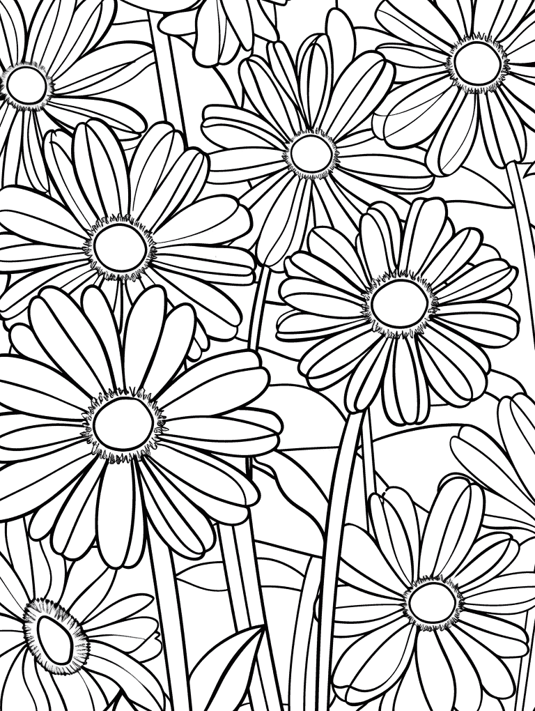 Daisies