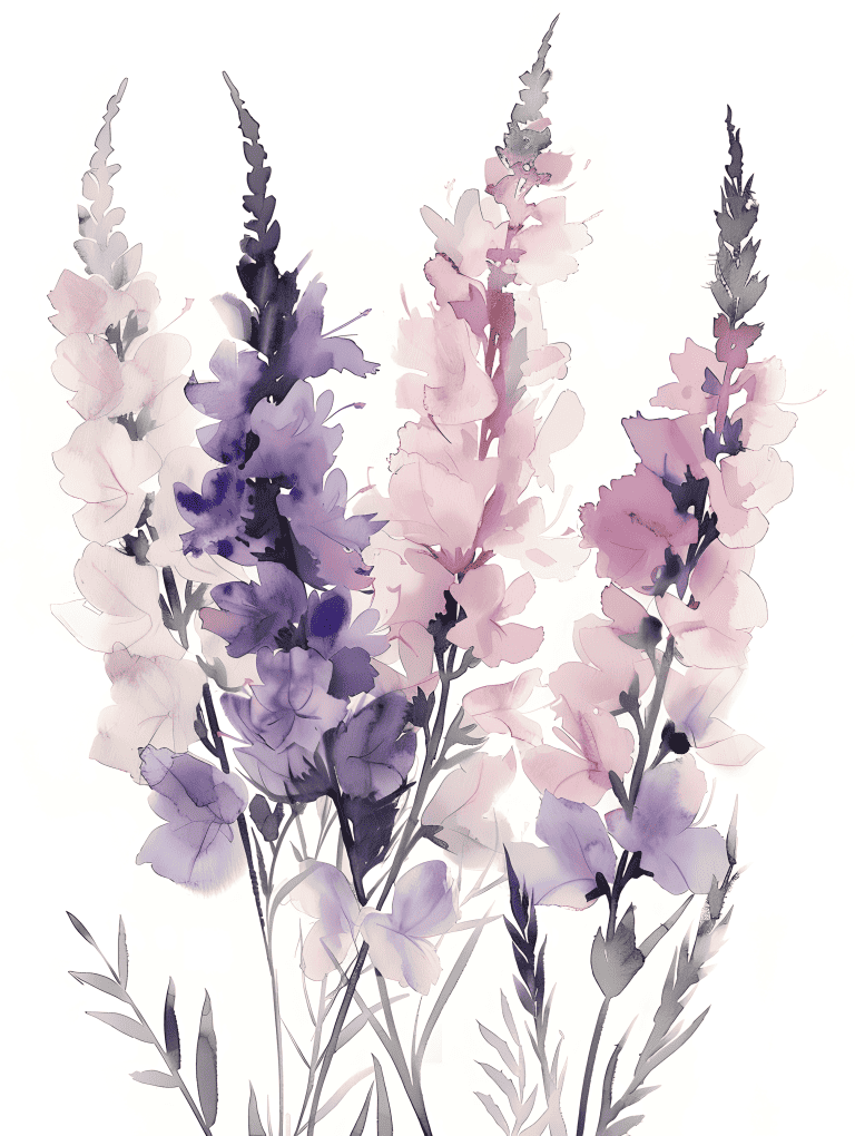 Delicate Stock Flowers