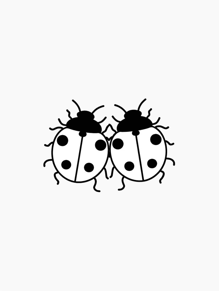 Love Bugs