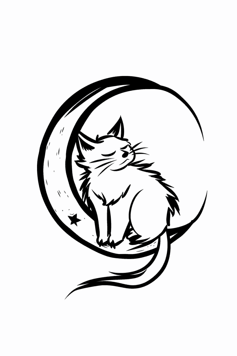Fluffy Cat
