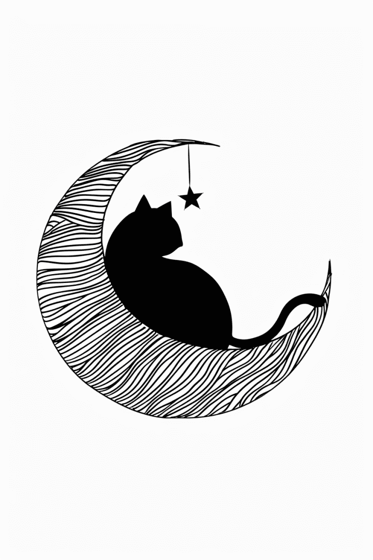 Black Cat