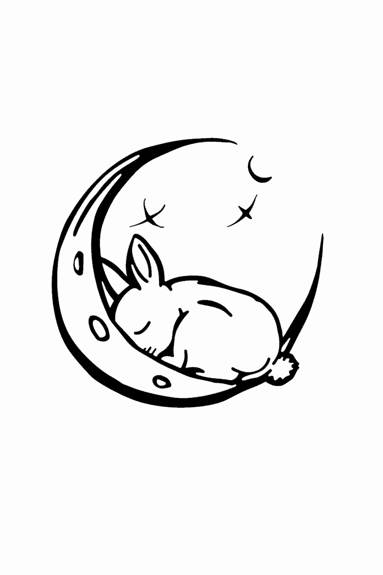 Sleeping Bunny
