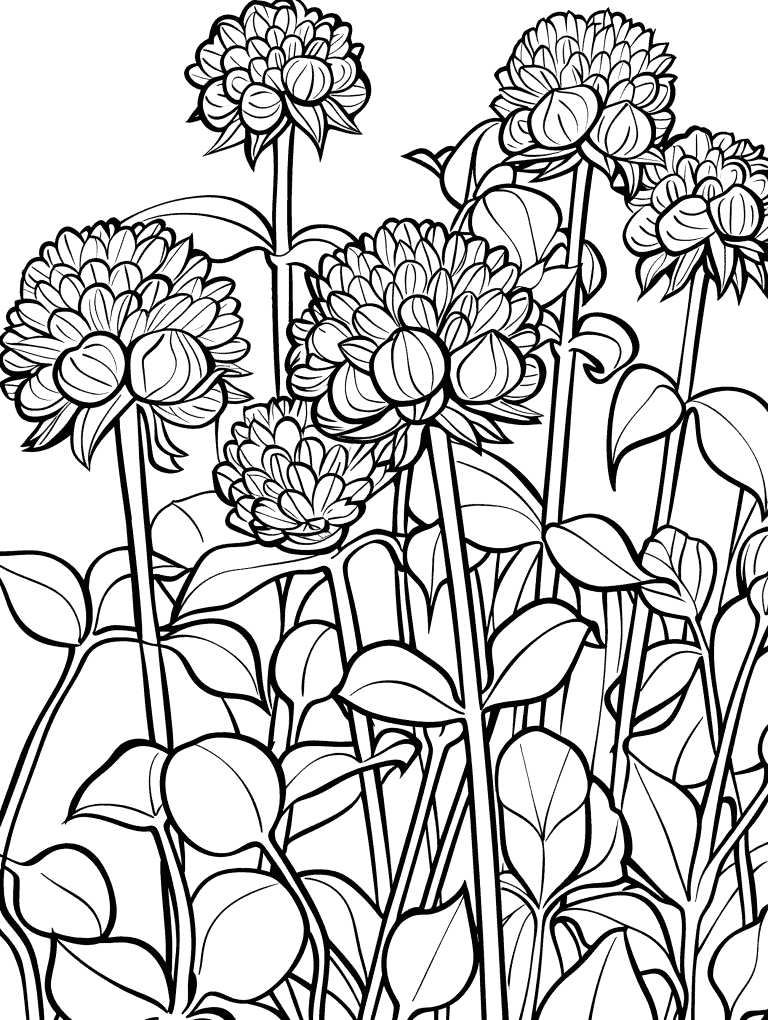 30 Captivating Spring Flower Coloring Pages Brighter Craft