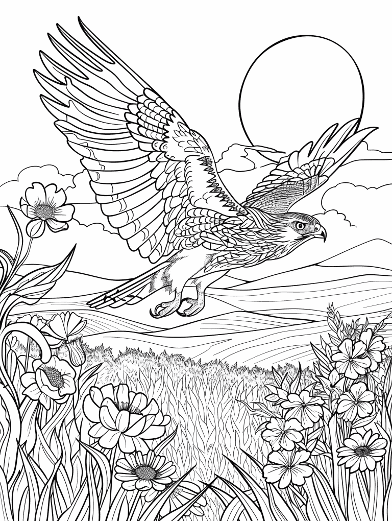 Hawk