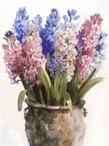 watercolor illustration of hyacinths