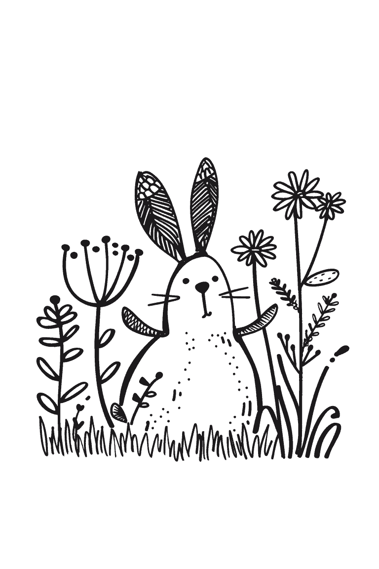 Rabbit in Garden