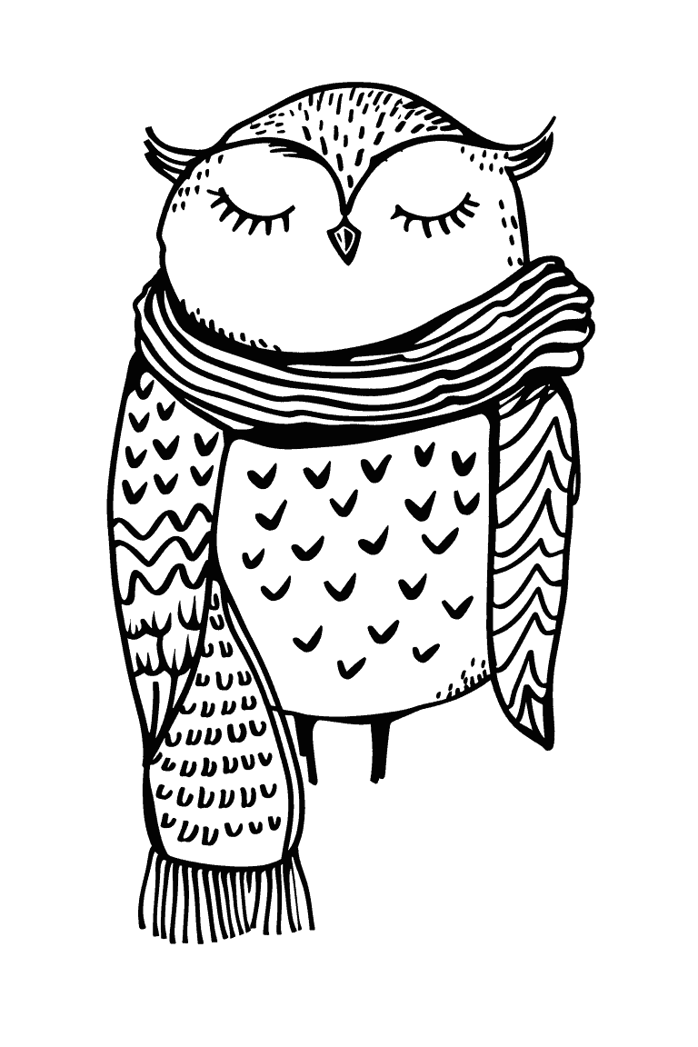 Owl wearing Snow Scarf