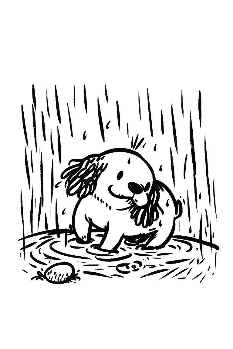 Puppy Playing Under the Rain