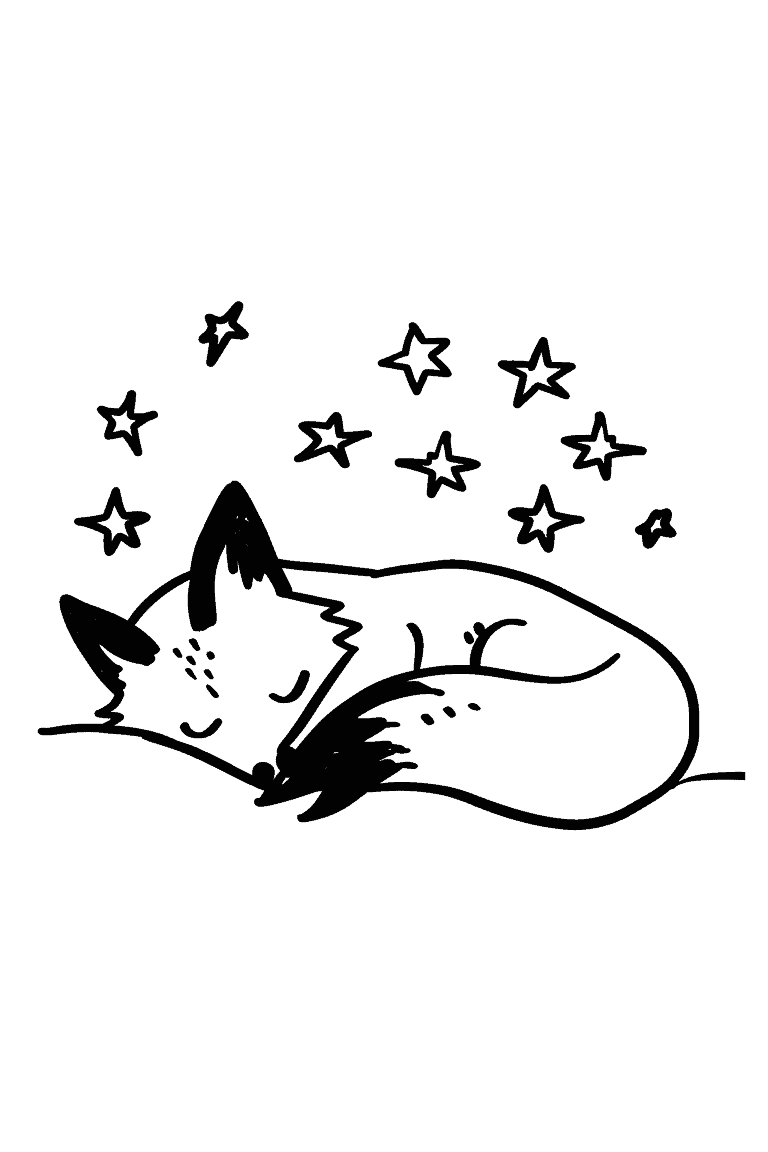 Sleeping Fox Under the Stars
