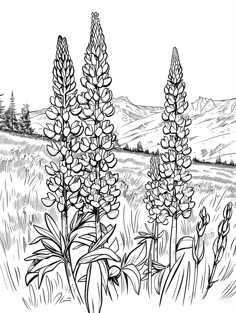 Lupines