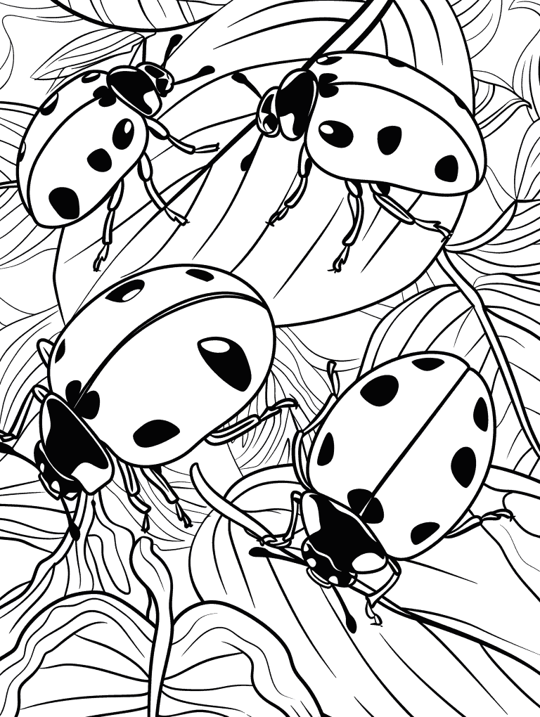 Ladybugs On Leaves