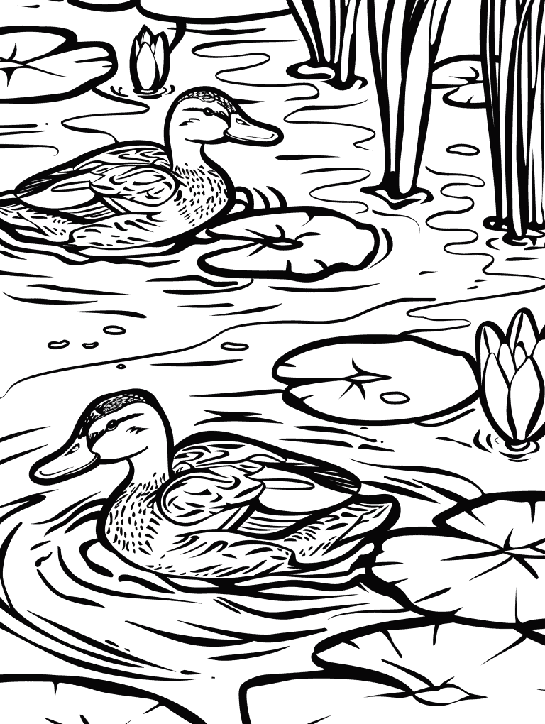 Ducks Swimming In A Pond
