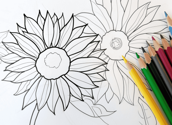 milkychoco04_a_coloured_pencil_that_is_next_to_a_sunflower_colo_2ec55c90-34b9-41a2-8748-5b45547c1094