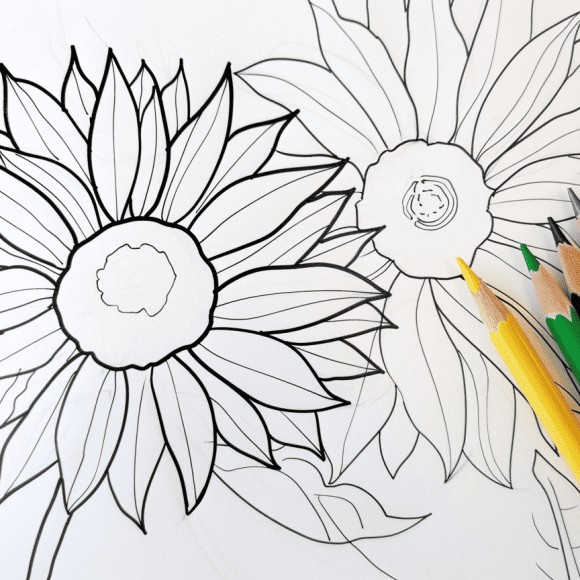 milkychoco04_a_coloured_pencil_that_is_next_to_a_sunflower_colo_2ec55c90-34b9-41a2-8748-5b45547c1094