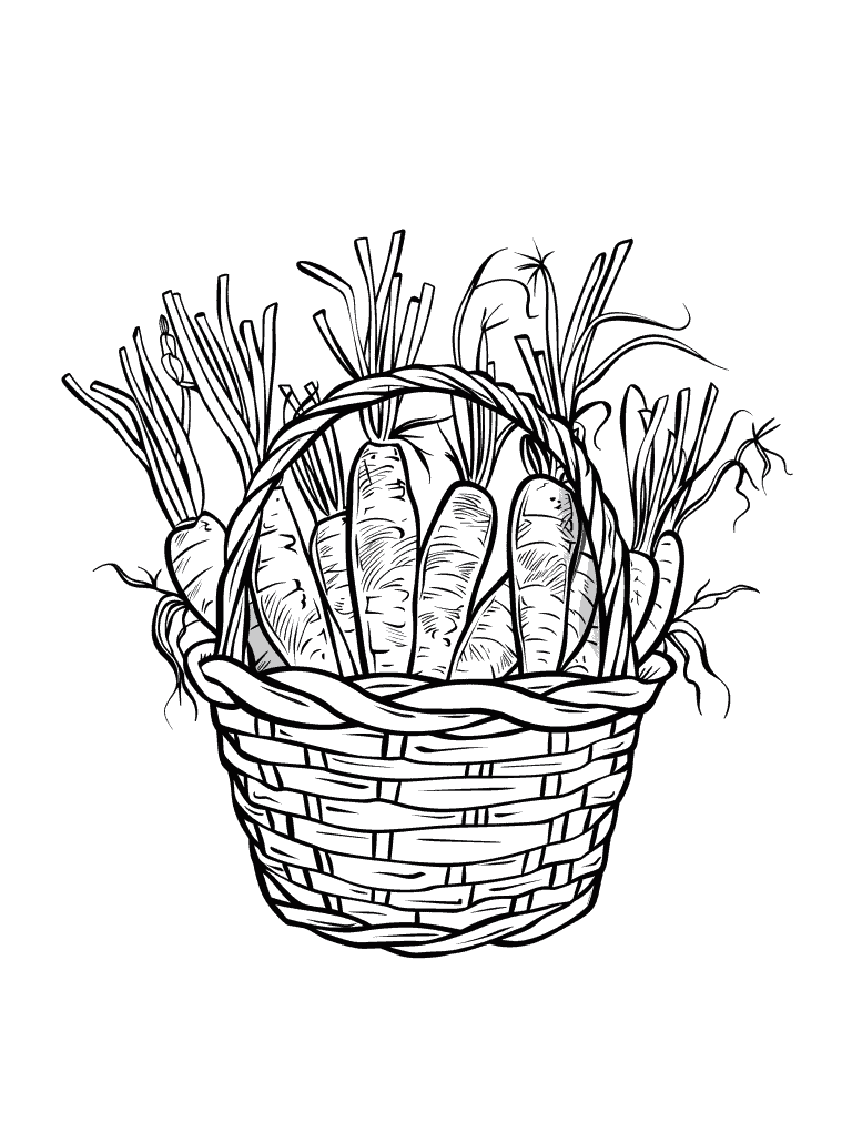 Basket of Carrots
