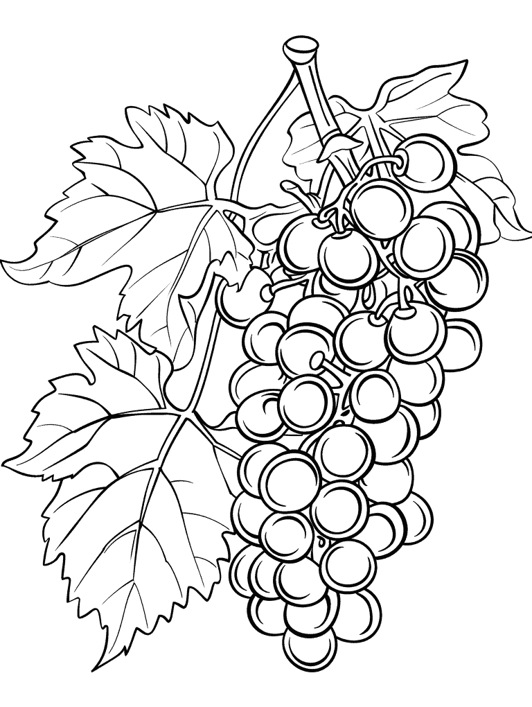Grapes