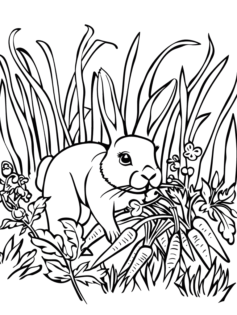 Rabbit With A Bundle Of Carrots