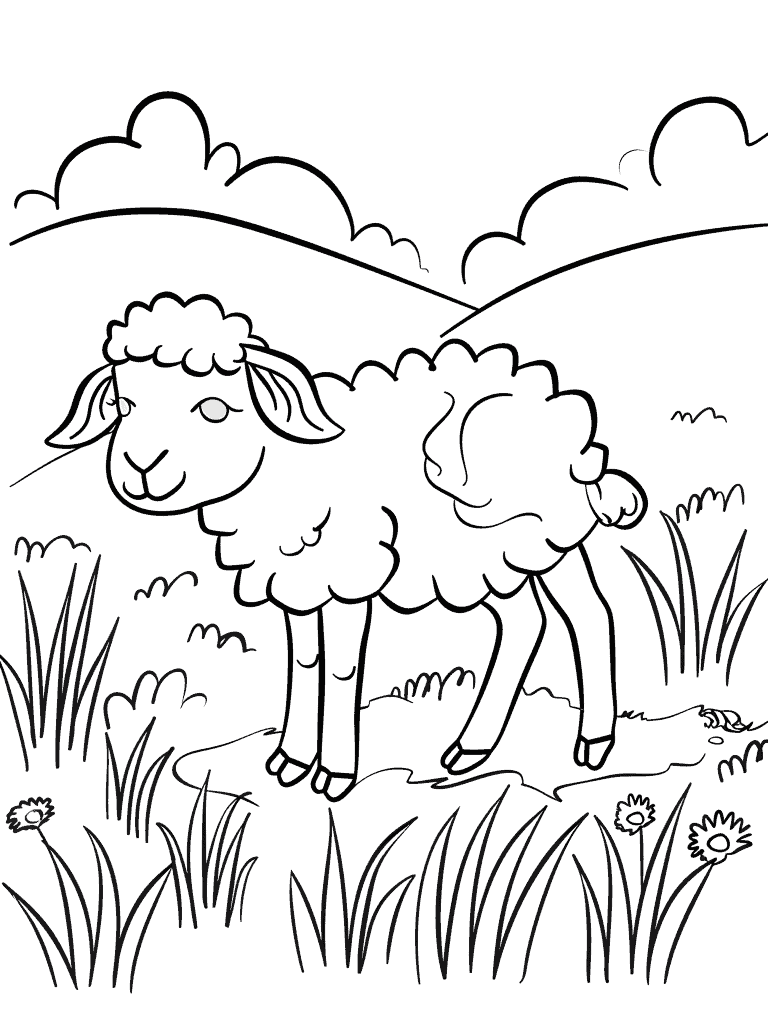 Lamb In A Meadow