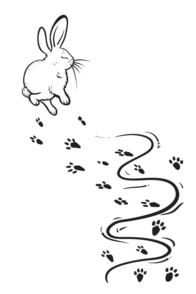 Rabbit Leaving a Trail
