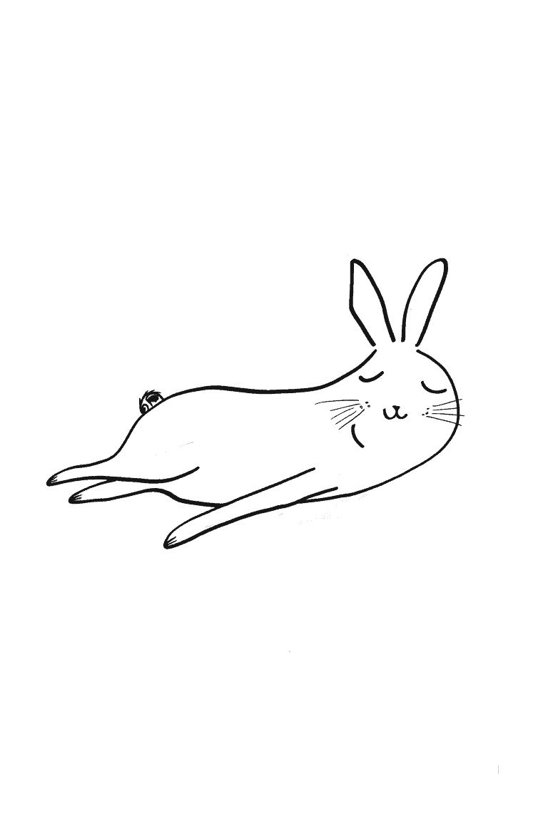 Rabbit Having A Nap