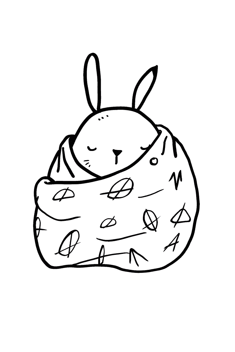Rabbit Wrapped in A Blanket