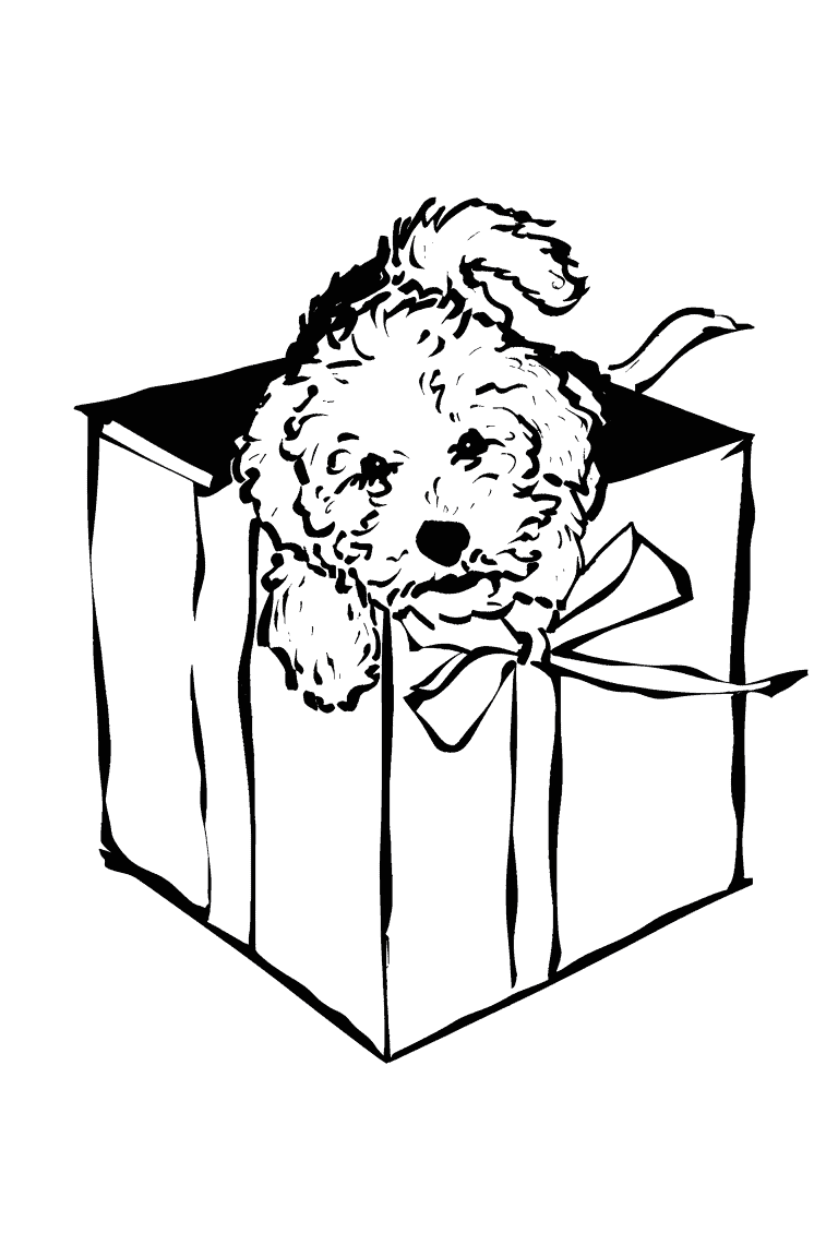 Dog Inside A Present
