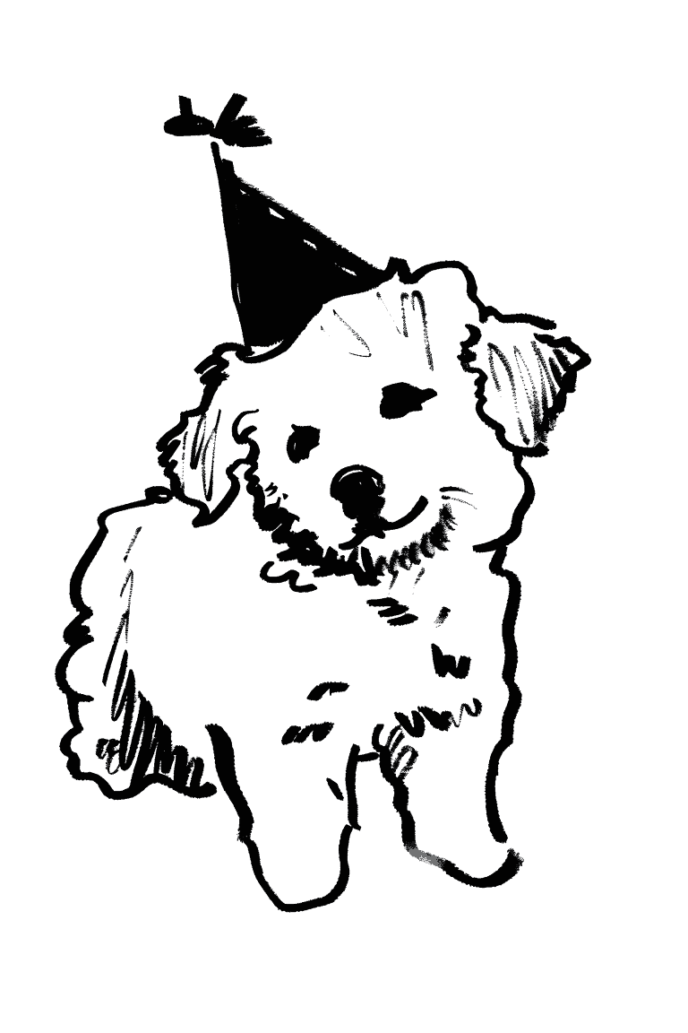 Puppy Wearing Birthday Hat
