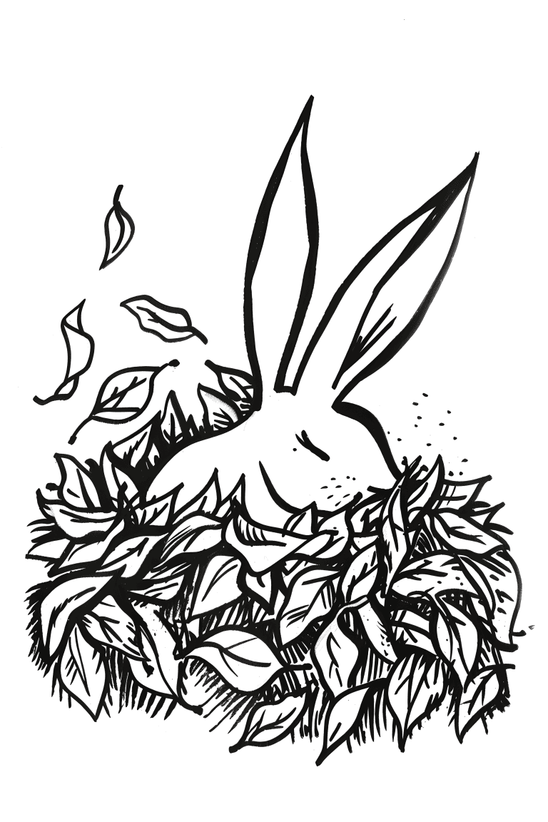 Rabbit Snuggled in Leaves
