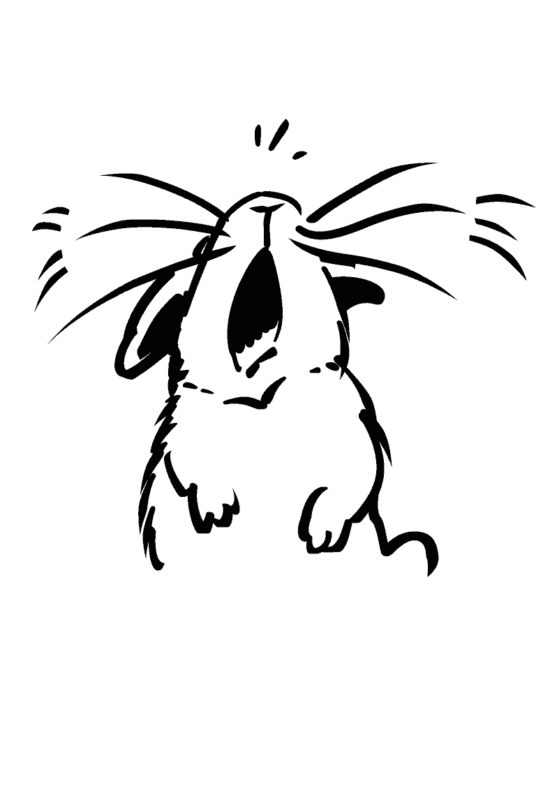 Crying Rabbit
