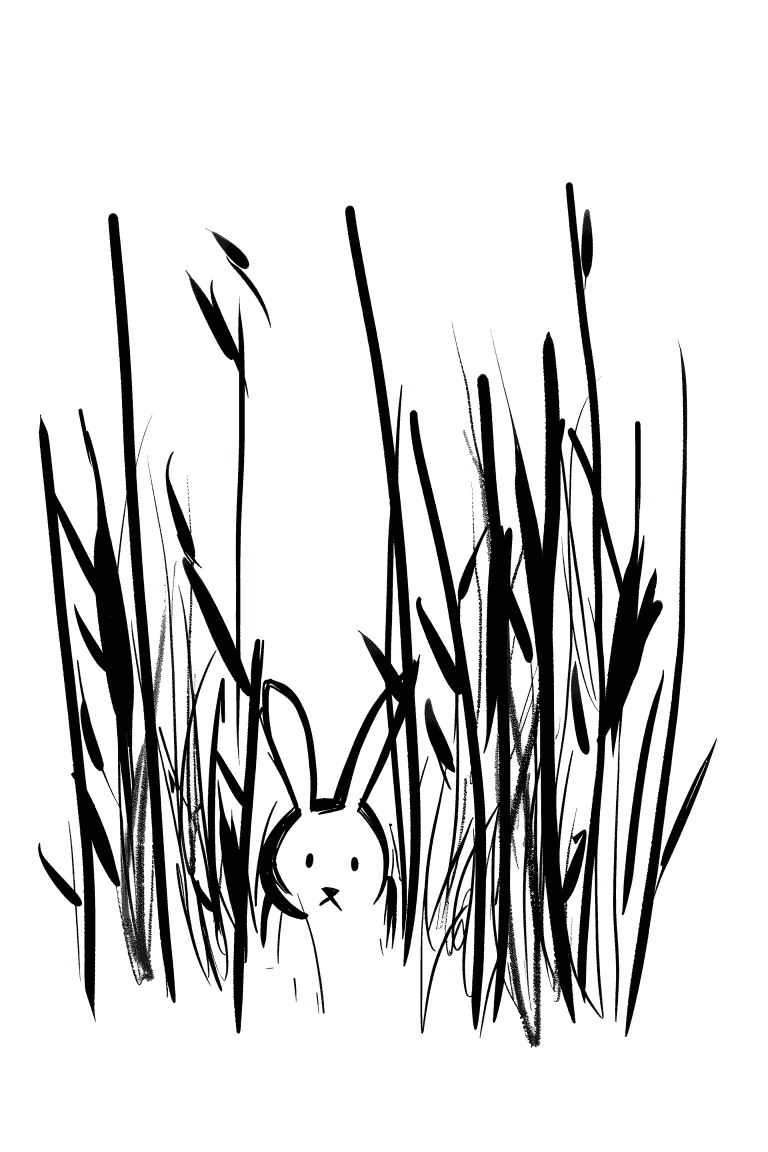 Rabbit Hiding in Grass