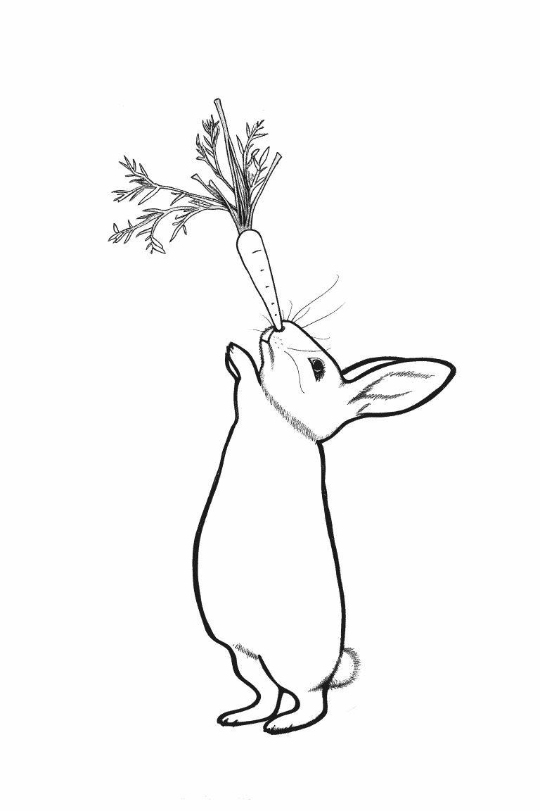 Rabbit Balancing A Carrot on It’s Nose