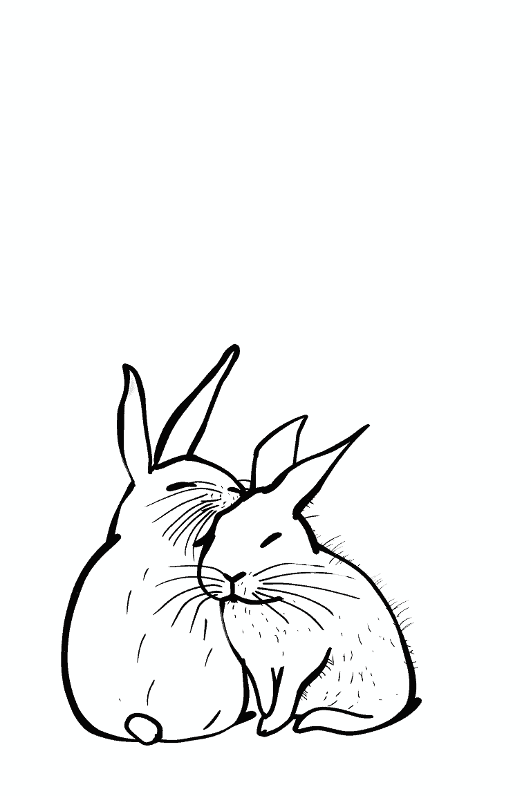 Two Cuddling Rabbits