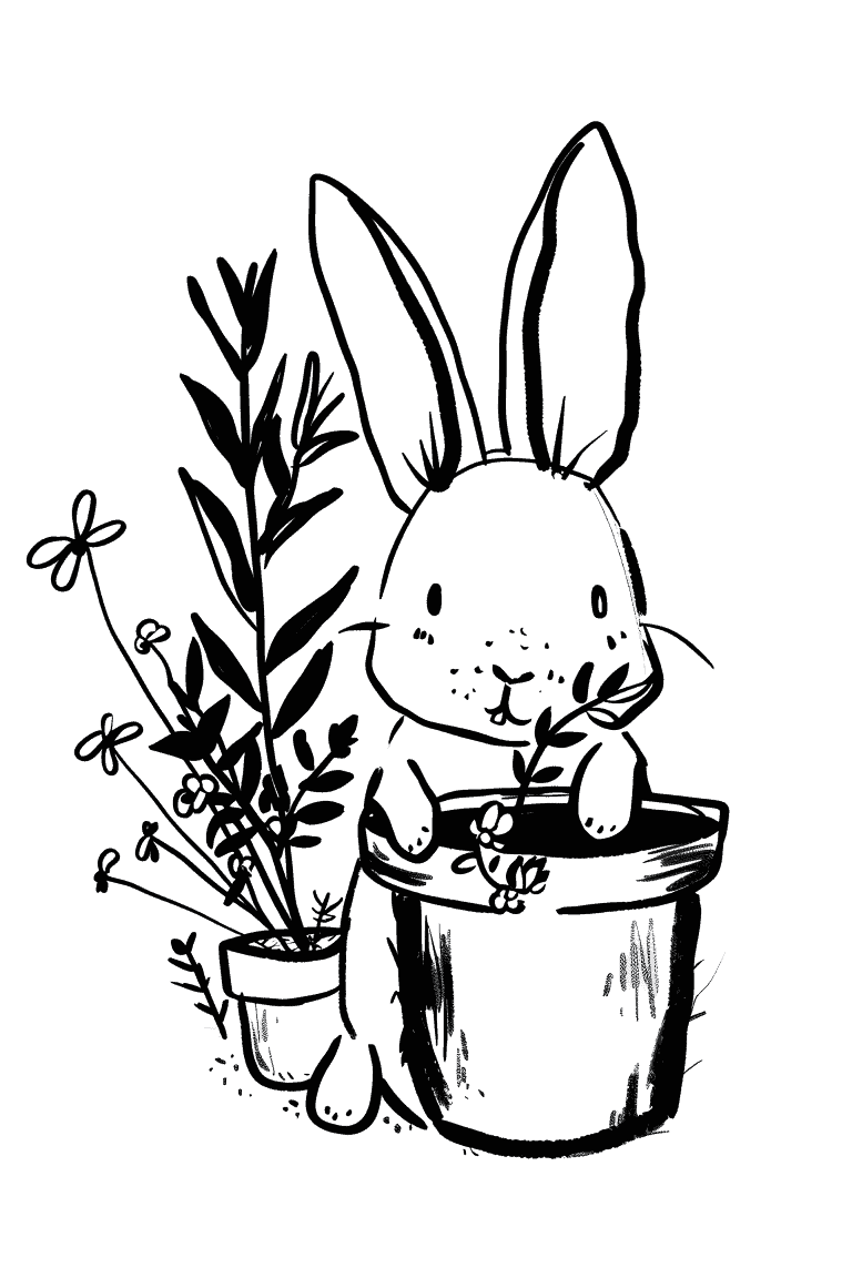 Rabbit With Potted Plants