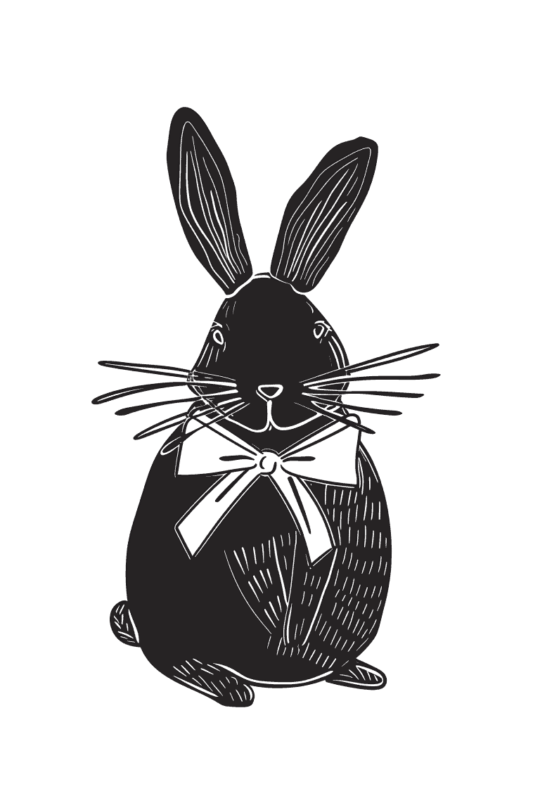 Black Rabbit Wearing Ribbon
