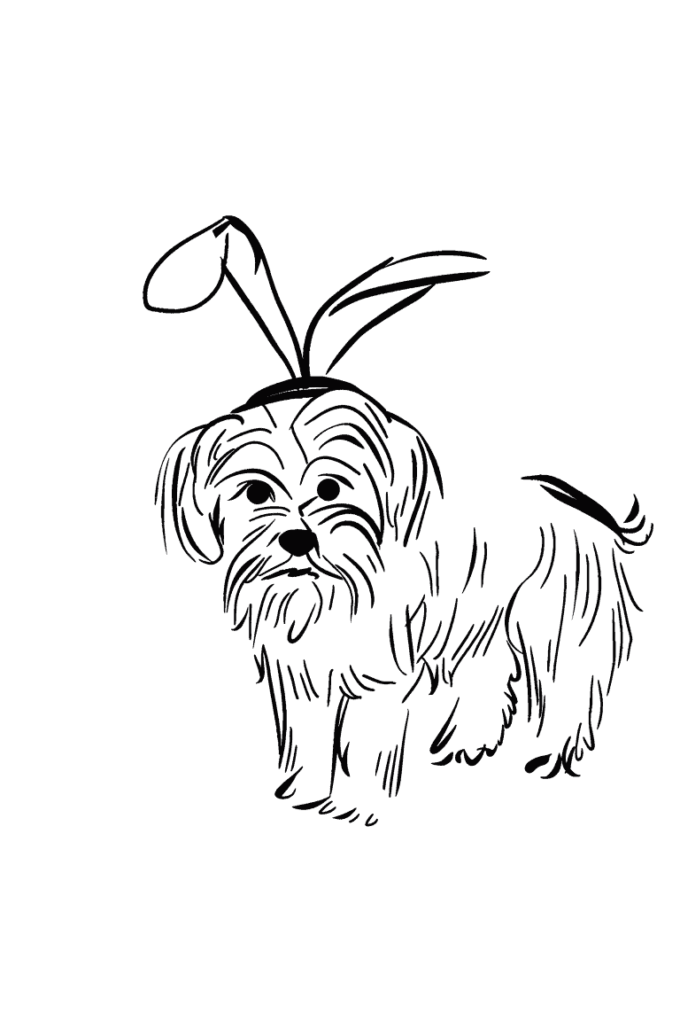 Dog Wearing Rabbit Ears