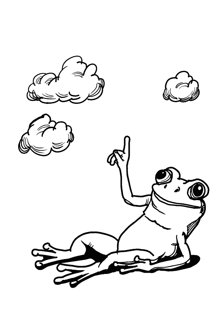 Frog Cloud Gazing