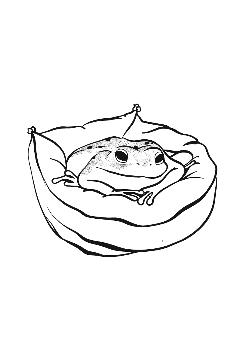 Frog On A Cushion