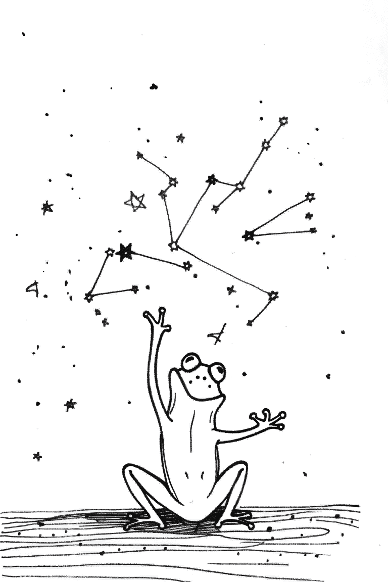 Frog Pointing At Constellations