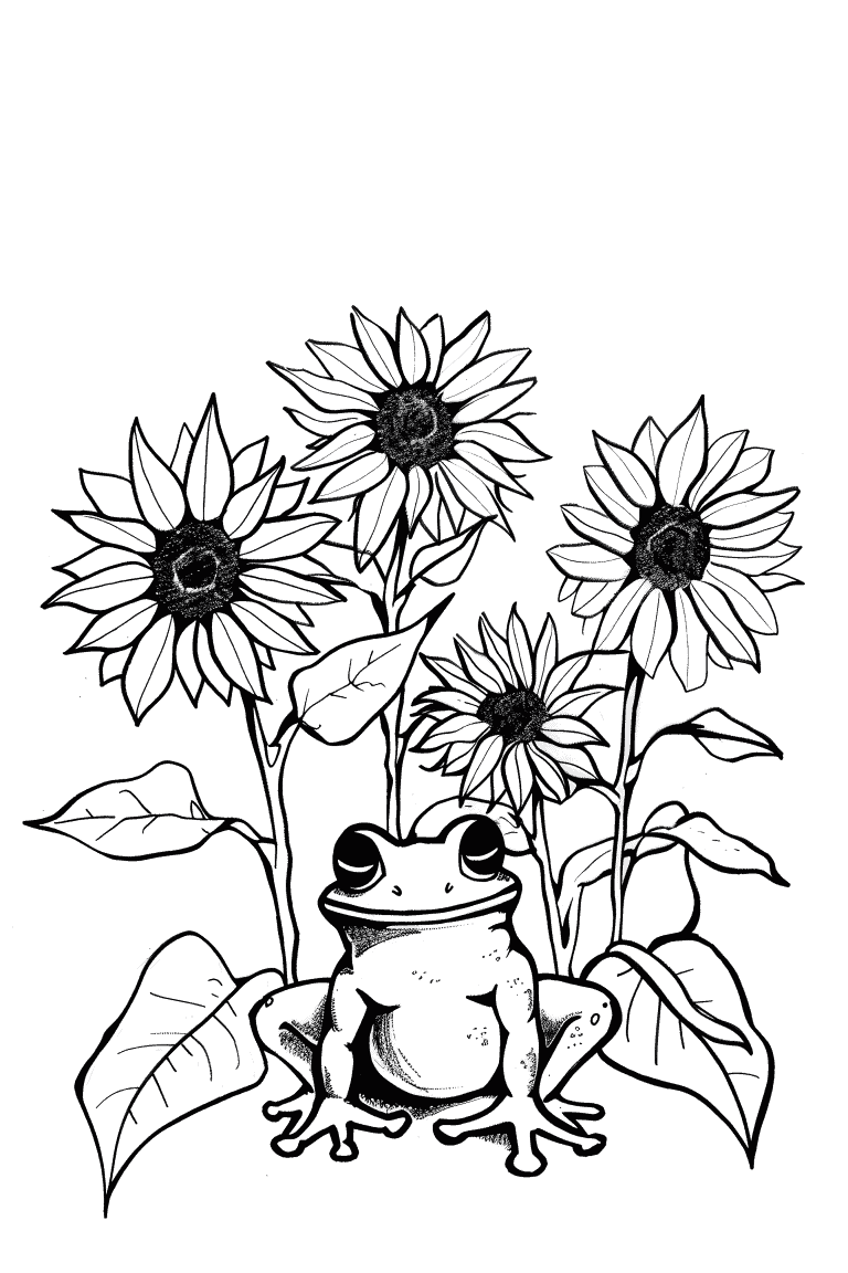 Frog Resting Beside Sunflowers