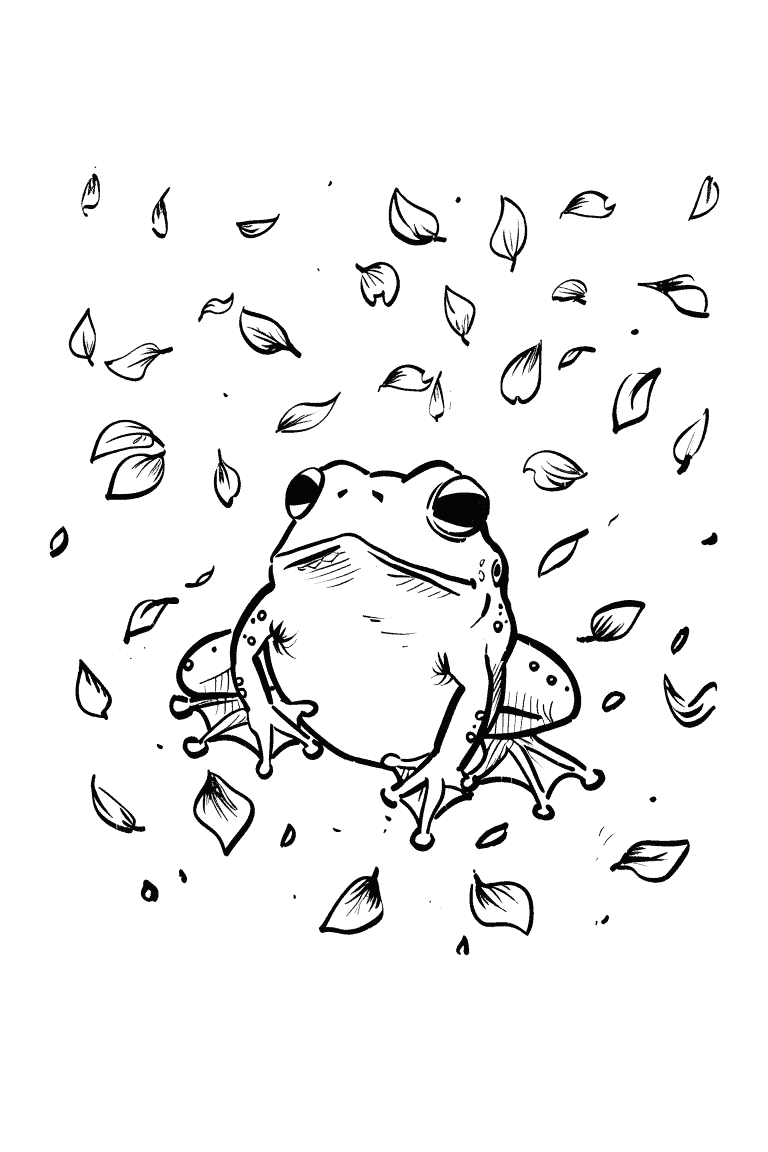Frog Watching Falling Leaves