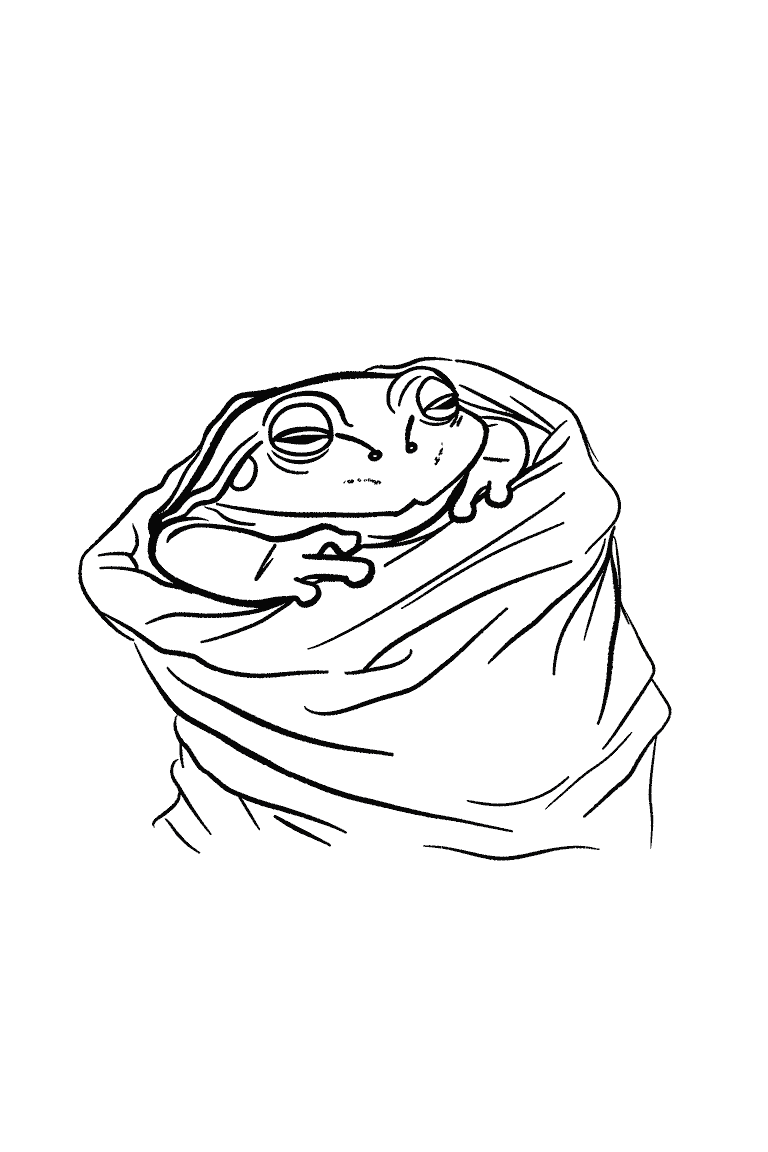 Frog Wrapped In A Blanket