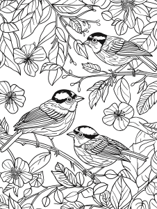 30 Spectacular Spring Bird Coloring Pages - Brighter Craft