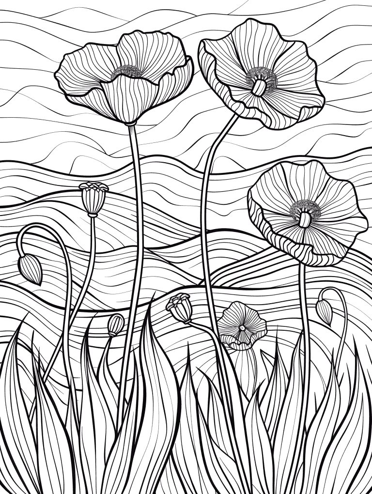 Poppies