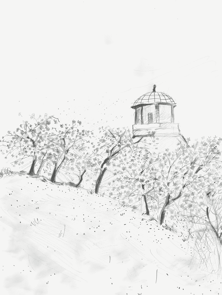 Observatory Nestled Among Cherry Blossoms