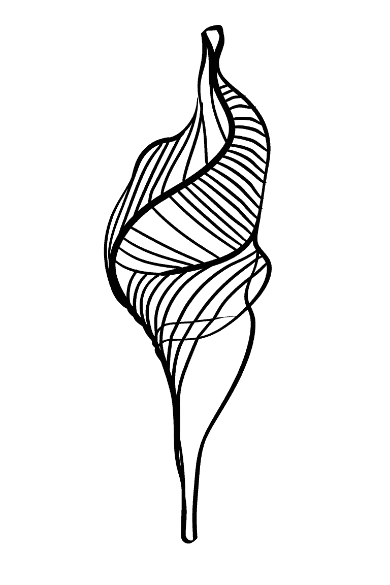 Auger Shell