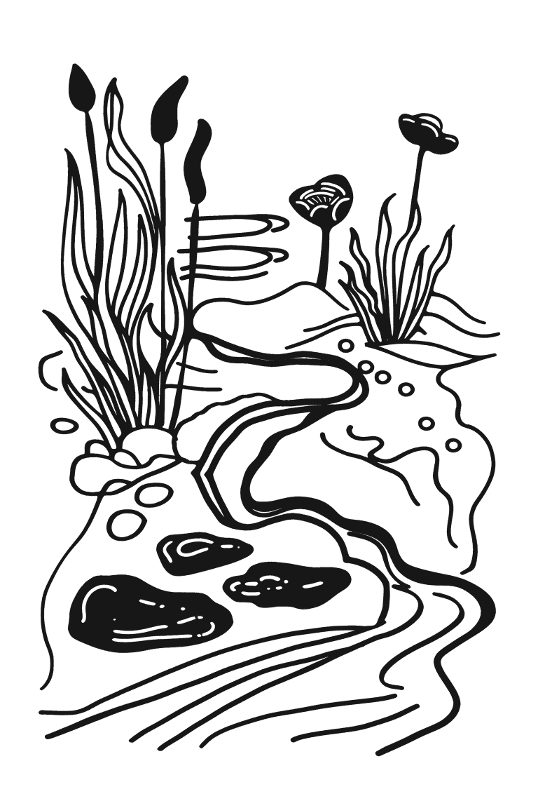 Babbling Brook