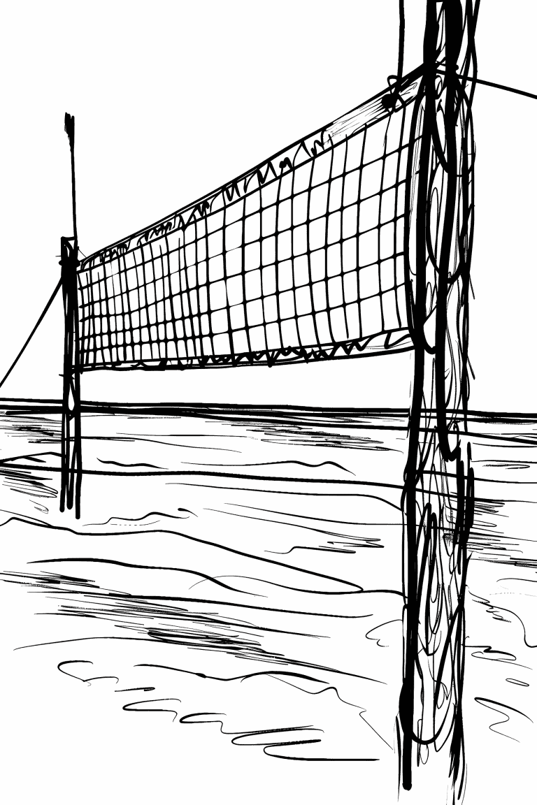 Volleyball Net